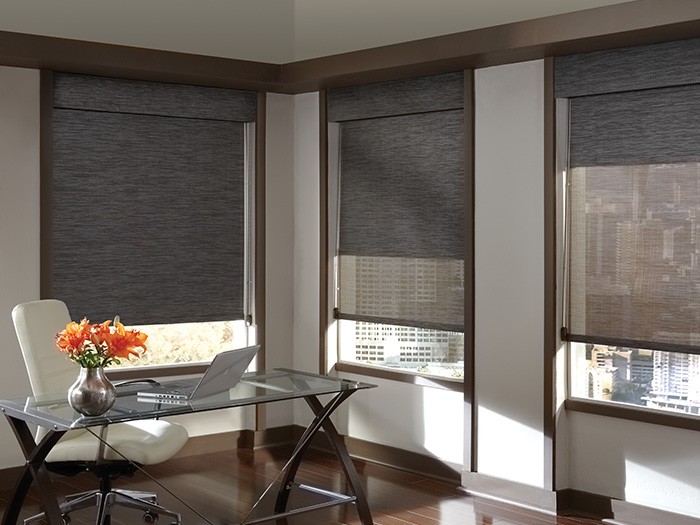 Designer Screen Shades Fabric: Ashton; Abyss  Color: Moonlight; Volcanic Ash